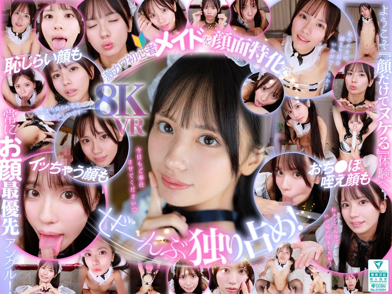 渚あいり▶フェラ❤【VR】ウブで、健気で、照れ屋さん。ゼロ距離で恥じらいスケベご奉仕【顔面特化】僕専用性処理メイド 渚あいり